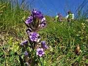 Monte Mincucco (cima 2001 m – croce 1832 m) dai Piani dell’Avaro il 19 agosto 2020 - FOTOGALLERY